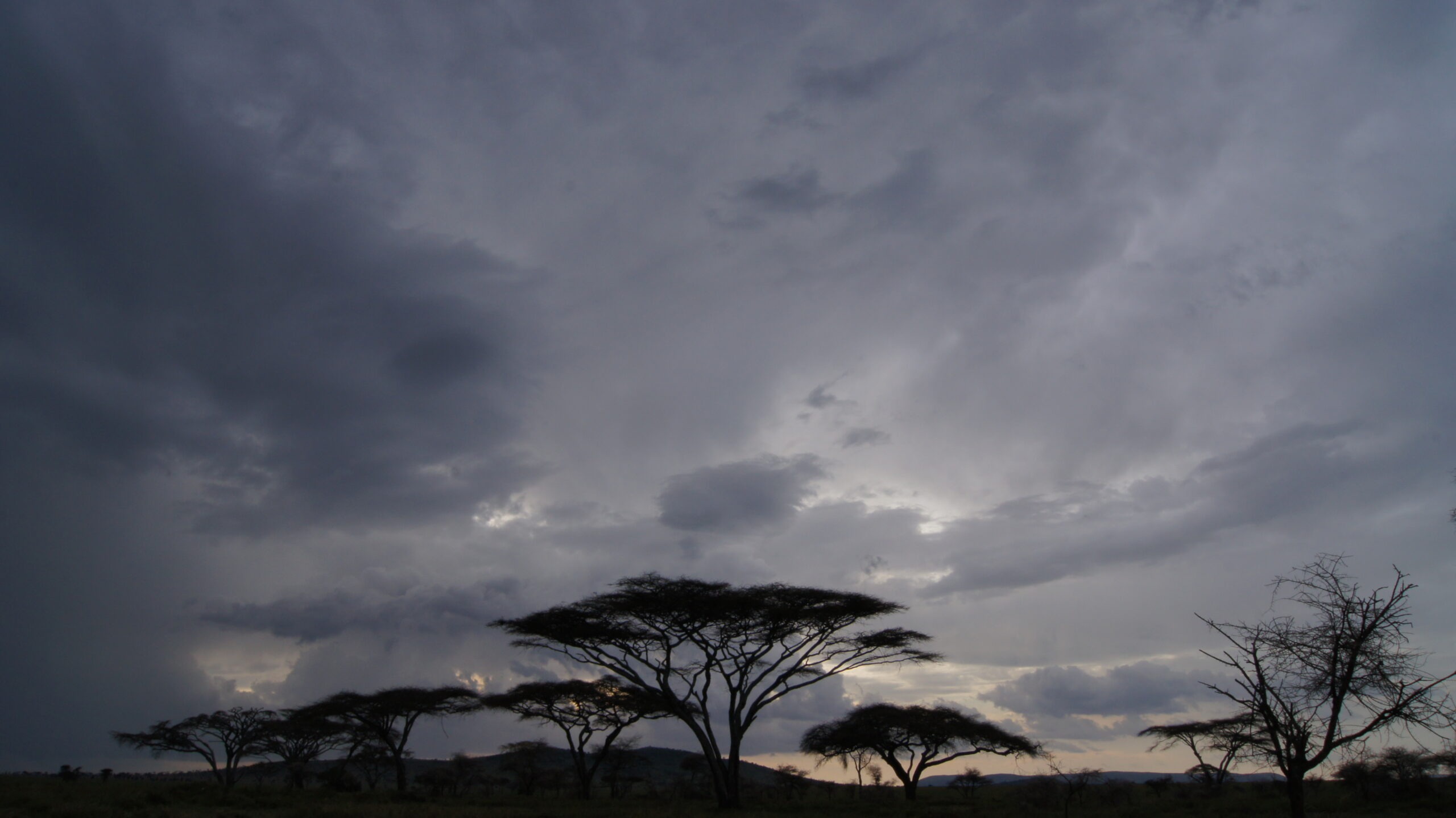 The Impact of Collaboration on Environmental Conservation