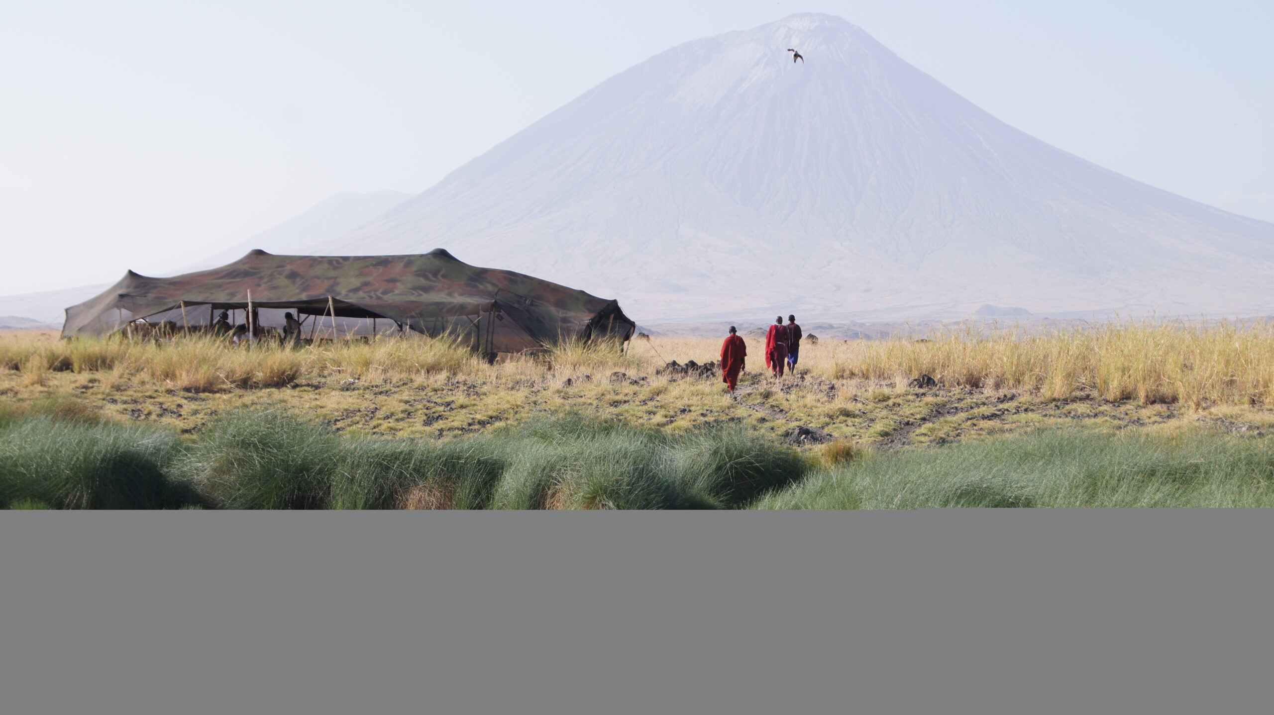 Innovative Solutions to Biodiversity Challenges