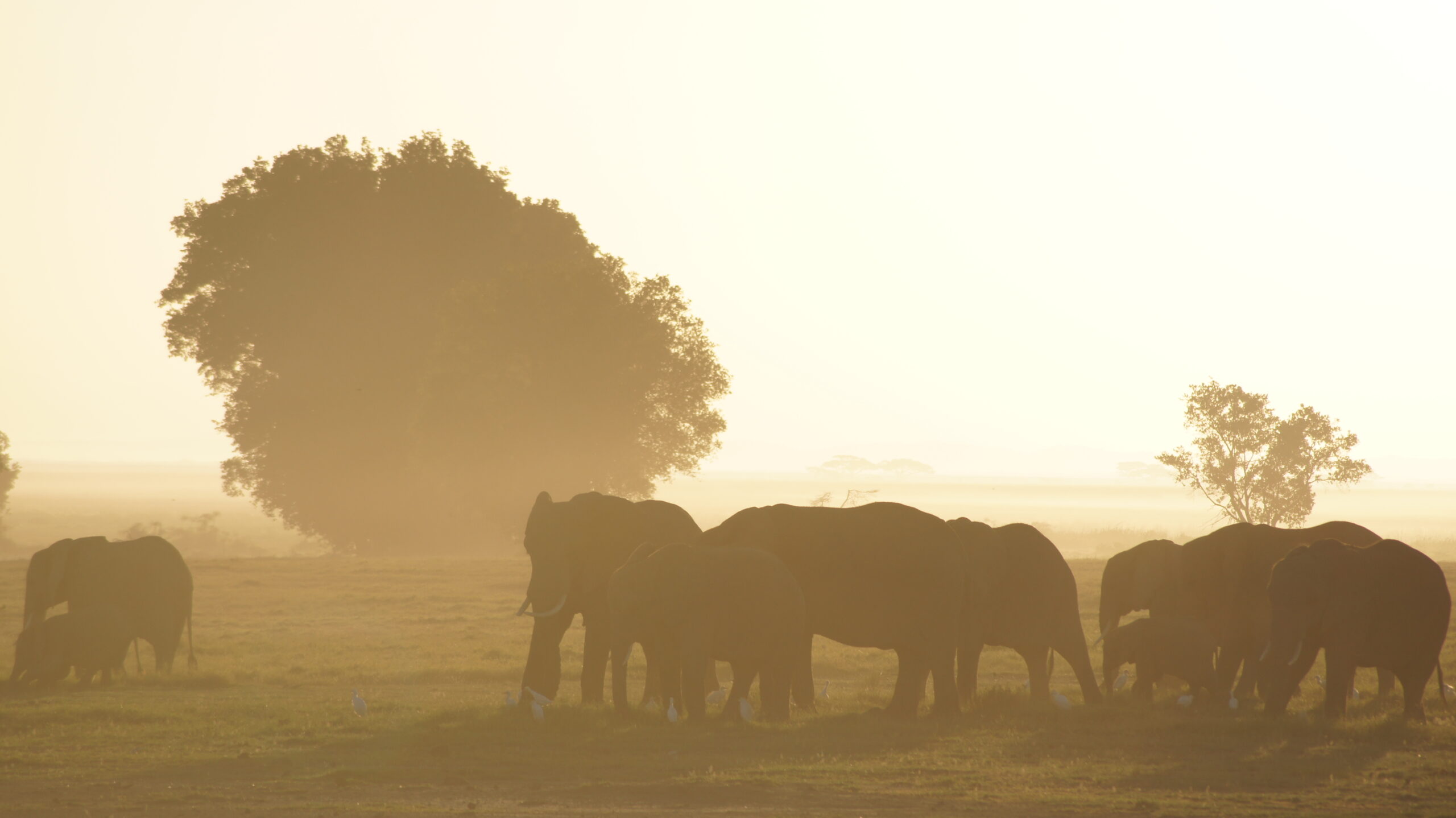 The Importance of Preserving Indigenous Heritage