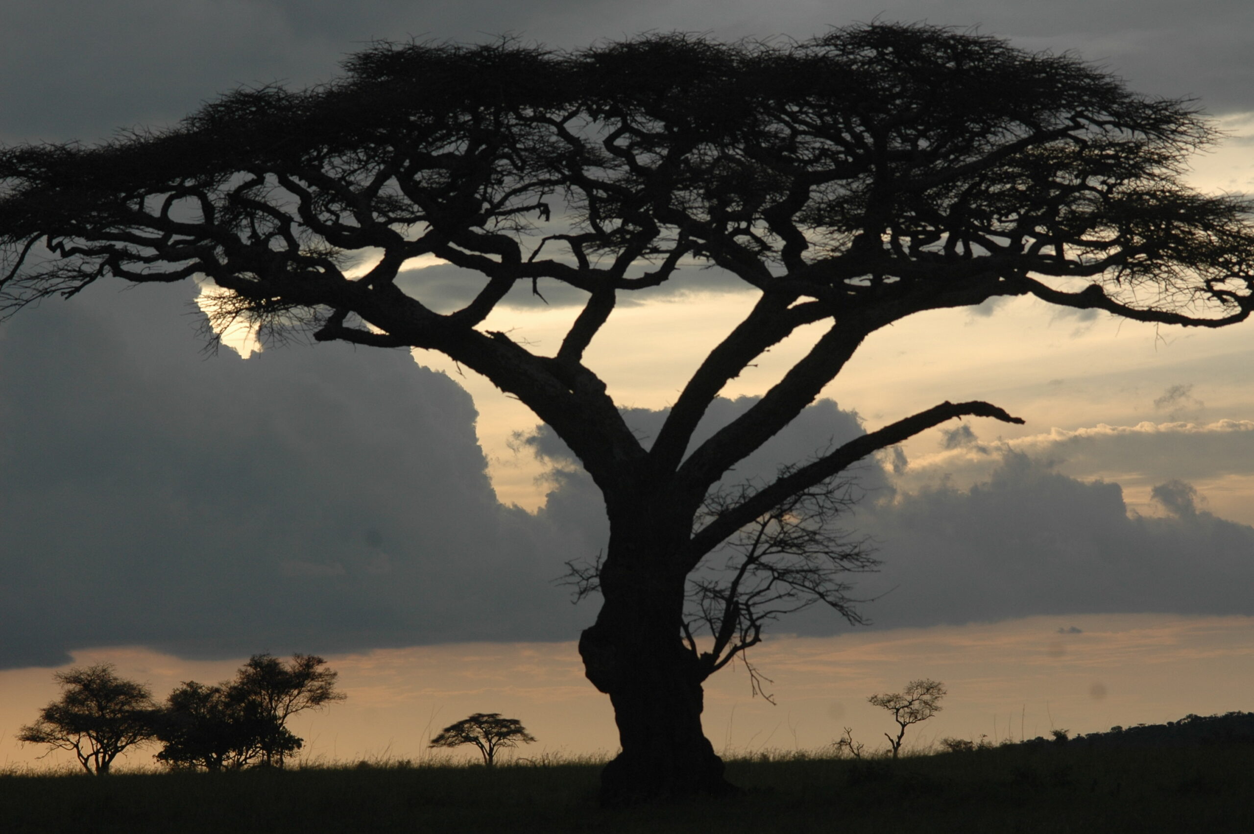 Protecting Wildlife and Culture in Northern Tanzania