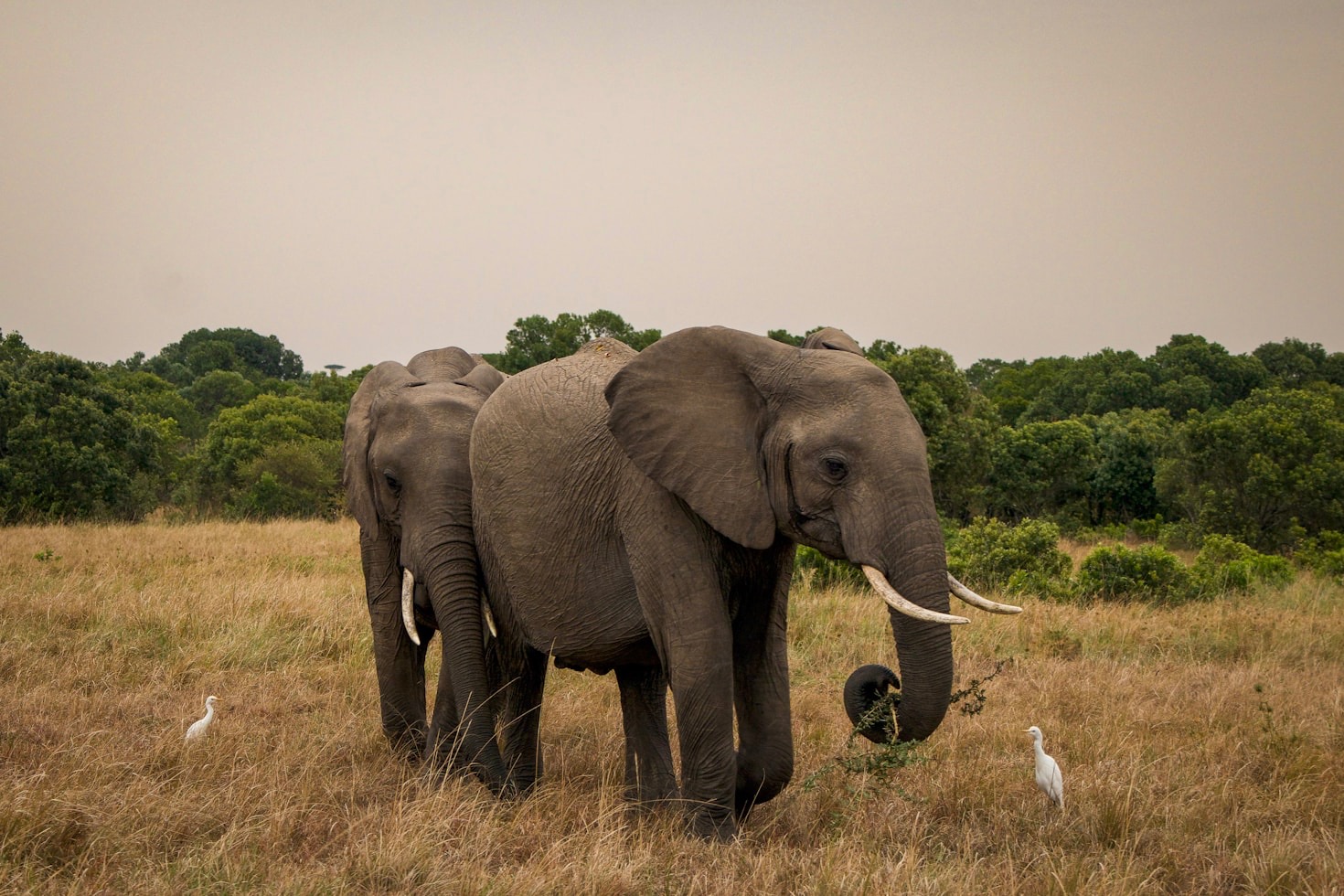 Sustainable Land-Use Practices: A Case Study